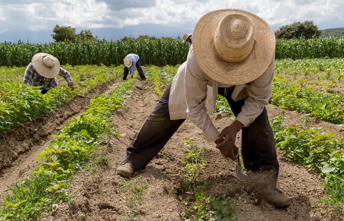 Bienestar, Salud y Justicia Integral