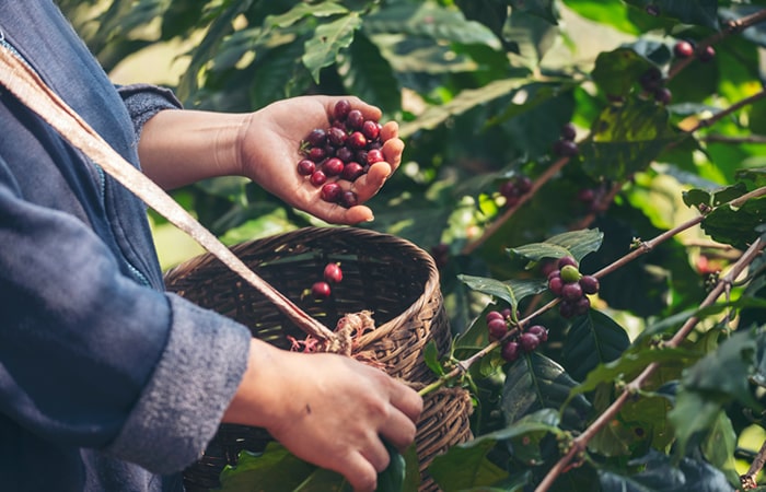 Productividad y Competitividad