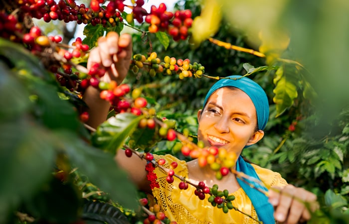 Pedagógico-Didáctico