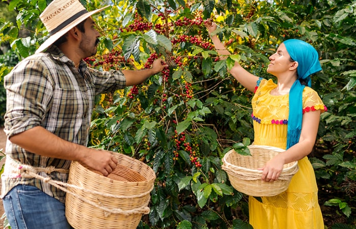 Inclusión y Desarrollo Regional